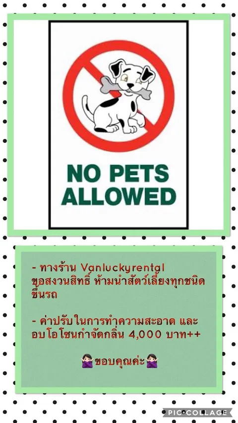 ประกาศห้ามนำสัตว์เลี้ยงทุกชนิดขึ้นรถ ค่าปรับทำความสะอาดและอบโอโซน 4,000 บาทขึ้นไป